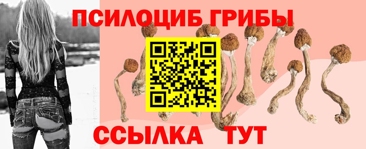 Тавда  Псилоцибиновые грибы прущие грибы  Вход с VPN  купить наркоту  Галлюциногенные грибы ЛСД 