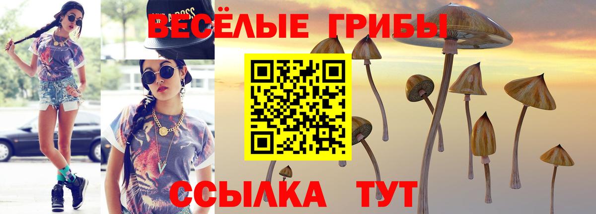 Псилоцибиновые грибы прущие грибы Тавда